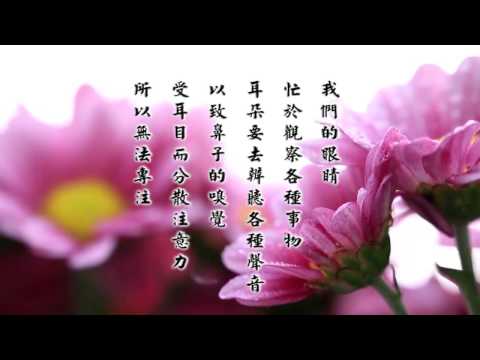 弘化网精华短片 - ⑱竹窗随笔 (高清有字幕)