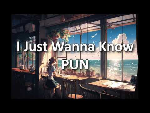 PUN - I Just Wanna Know