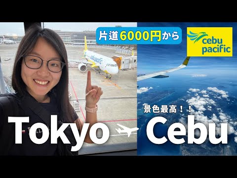 【セブパシフィック航空レビュー】入国から格安で市内まで移動方法も紹介！