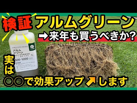 芝生にアルムグリーンって実際どうなの?実験で見えた効果と正しい使い方が！