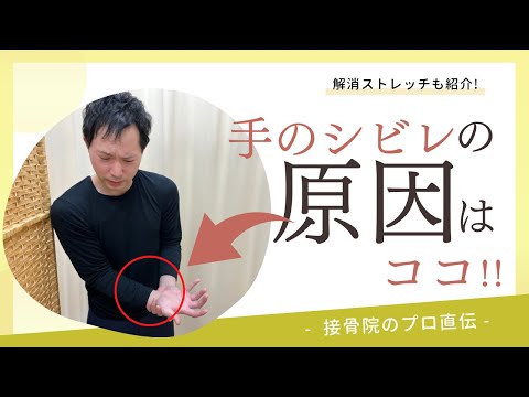 【手のシビレの治し方】指先がシビレる、手先の感覚が違う、時には痛みが走るなどの症状がある方へのストレッチ！｜接骨院のプロが教えるお家セルフケア｜テラピスト接骨院