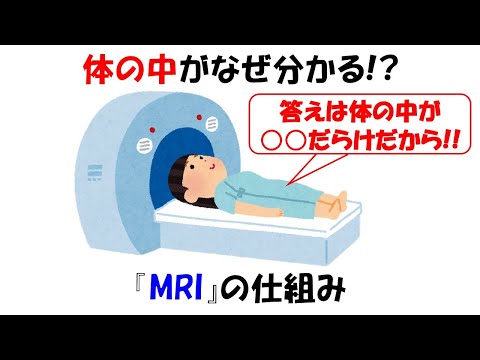 【ノーベル賞】MRIの仕組み。放射線を使わずに体の中を観察する方法【核磁気共鳴】【磁場】/How MRI works.