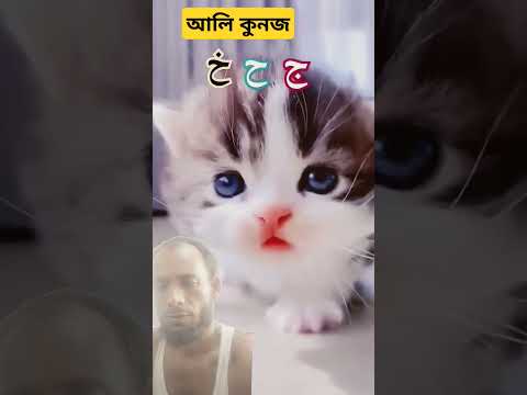 আলিকুনজা#funnyanimal #video #funny