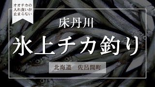 【氷上釣り】床丹川で良型チカ連発！