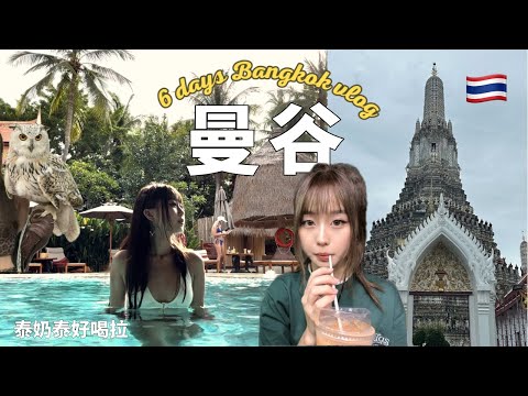 ［旅遊 vlog］🇹🇭曼谷六天五夜｜行程滿滿滿｜一直買 一直吃｜我的第一隻旅拍vlog｜泰奶是個偉大的發明🔥