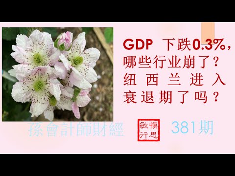 GDP 下跌0.3%， 哪些行业崩了？纽西兰进入衰退期了吗？ 【孫會計師財經周刊】第381 期 （2023.12.17）