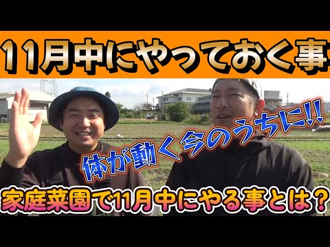 【家庭菜園】11月にやっておいた方がいい事!!【農業初心者】【栽培】