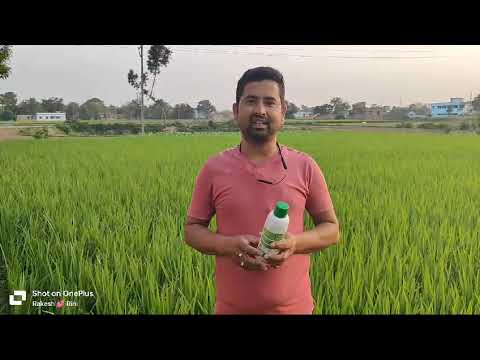 094 Farmer from Birbhum District | West Bengal | Nano Urea Testimonial