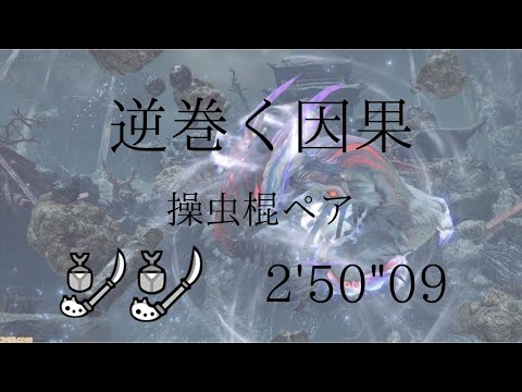 [MHR:SB]逆巻く因果 イブシマキヒコ 操虫棍ペア 02'50"09/Wind Serpent Ibushi Insect Glaive pair