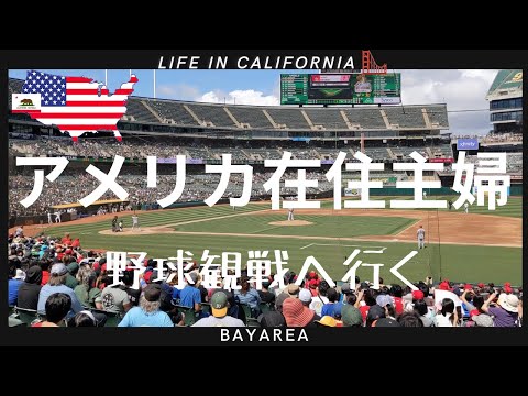 [アメリカ在住主婦】大谷選手に会いに野球観戦へ行く｜LA Angels｜Trader Joe's、COSTCO買い出し｜