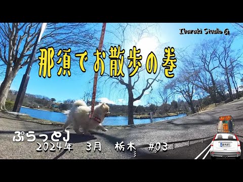 【栃木・那須塩原市】那須でお散歩の巻