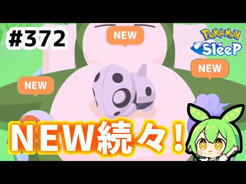 【睡眠リサーチ】＃372『GSDの未発見寝顔ボーナスが神仕様だった』【ポケモンスリープ/pokemon sleep】【無課金ゴプラ勢】【ゆっくり実況ずんだもん】