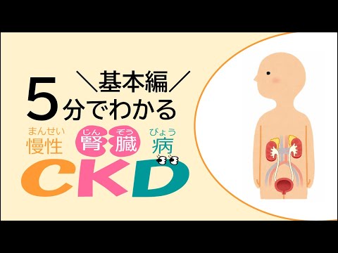 5分で分かるCKD（基本編）