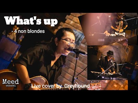 What's up - 4 non blondes [ Live cover by Greyhound ]