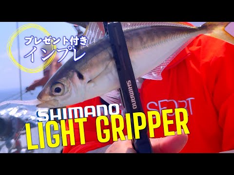 【インプレ】SHIMANOライトグリッパーを使ってみた！ Take her Ajing Fishing Vlog