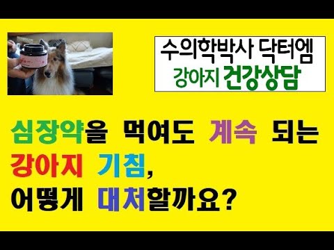 기침의 원인이 심장병이라 심장약을 먹이는데, 계속 기침을 한다면 어떻게 해야 하나요?