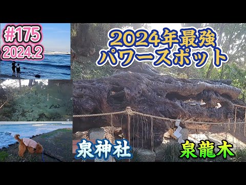 2024年最強！開運パワースポット！泉神社(茨城県日立市)2024.2