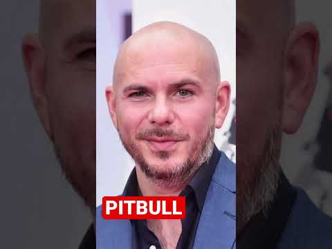 🎤 PITBULL 🐶 different faces, the same Mr. Worldwide