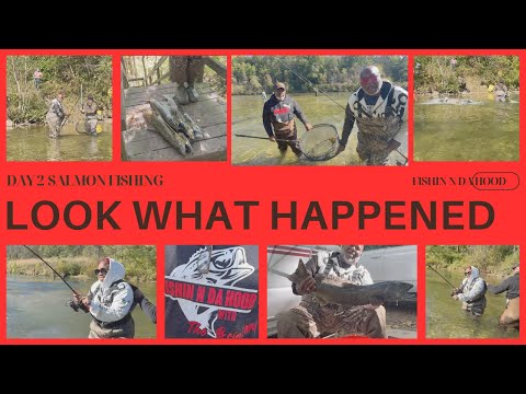 DAY 2 SALMON FISHING LOOK WHAT HAPPENED#fypyoutube #fishing #salmonrun #salmon #outdoors #fishnfun