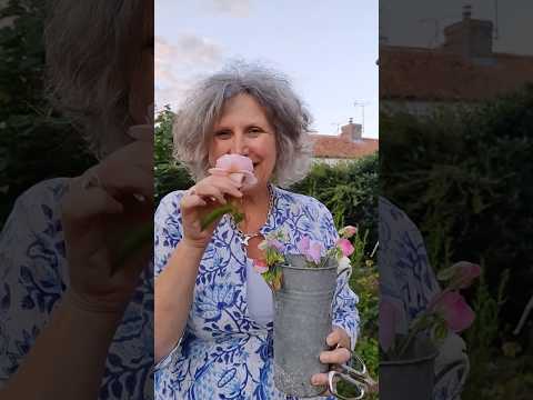 Pure joy at the end of a long day 😍 #cuttinggarden #cutflowers #cutflowergarden #sweetpeas #roses