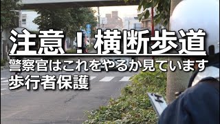 警察に捕まらず尊敬される！【横断歩道】の交通ルール