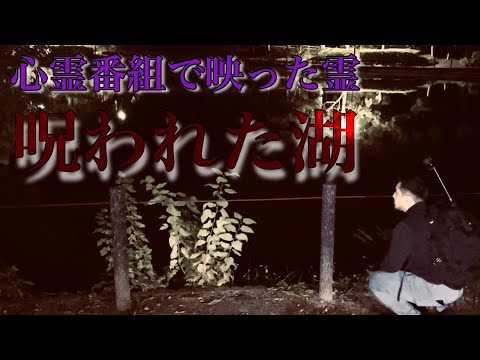 This Local Park Cursed Me Before I Could Go There.... [Omiya Park]