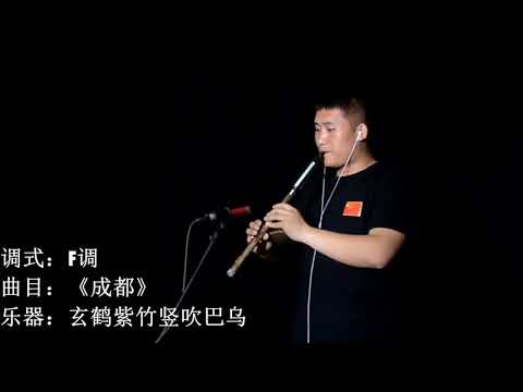 Traditional Chinese Musical Instruments巴乌  F调成都