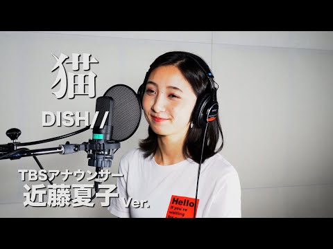 猫 - DISH// Covered by TBS近藤夏子アナウンサー