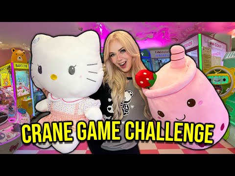 $100 JAPAN CRANE GAME CHALLENGE!! (*BIG ARCADE CLAW MACHINE WINS*)