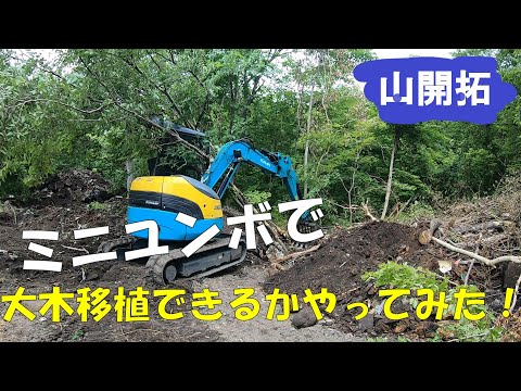 【山開拓】ミニユンボで木の移植をしたら死にかけた⁉