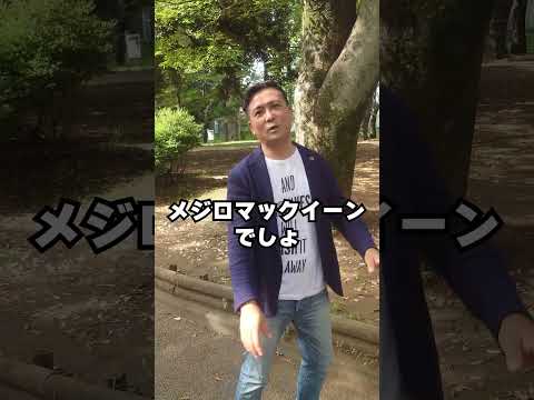 質問来てました！スタミナチャンピオンてどの馬ですか？　#shorts #競馬