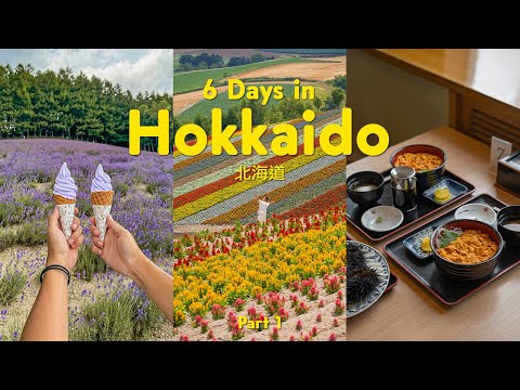 6 days in Hokkaido 🇯🇵 北海道 (must-eat, photo spots, shopping haul, cute cafes) | part 1 | japan trip