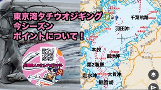 東京湾タチウオジギング☆今シーズン！ポイントについて！