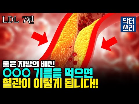 믿었던 OOO 기름의 배신 [LDL 7편] 이런 기름은 먹지 맙시다!!  (타락한 연구자와 부패한 과학계)