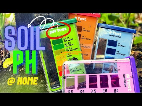 Testing Your SOIL for NUTRIENTS and HEALTH | At Home Soil Test Kit Explained