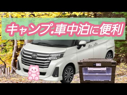 車中泊・キャンプにめちゃくちゃ使い勝手がいいリスさんの折りたたみコンテナ紹介！