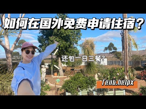 如何在国外申请免费住宿？还附带一日三餐？这也太爽了吧！feat.helpx