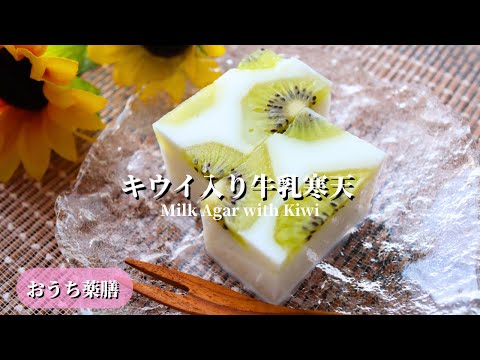 【おうち薬膳】キウイ入り牛乳寒天