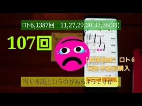 【長期検証】ロト6同数字継続購入107回目