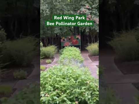 Red Wing Park Bee Pollinator Garden #shorts #virginiabeach #parksandrecreation #parks #garden