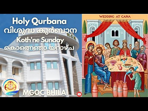 MGOC Bhilai | Holy Qurbana | 19th Feb 2023 | Koth'ne Sunday | Perhurtha | Feast of Cana |