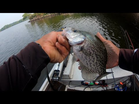 Fishing Bridge Pylons And Structure For Crappie!!