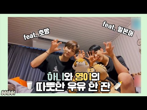 [세븐틴/정한/호시] 천사와 호랑이의 따뜻한 우유 한 잔