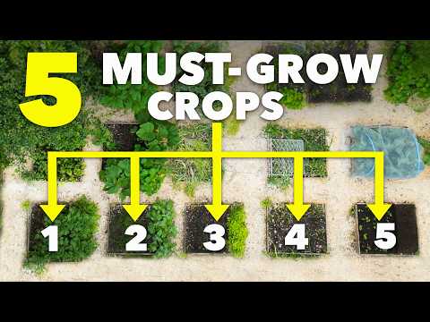 5 Essential Crops Every Gardener Should Grow