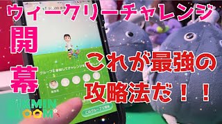 ウィークリーチャレンジ開幕！攻略のコツは先に○○をすることだった！！！【ピクミンブルーム / Pikmin Bloom 】