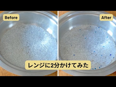 【シリカゲル再生】種の保存にもいいかも