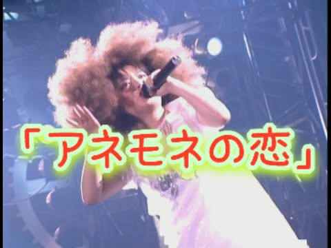 「アネモネの恋」歌詞付き　JUDY AND MARY　THE POWER STADIUM DESTROY'97