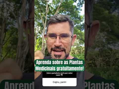 O CRAJIRU É TOP #plantas #plantasmedicinais