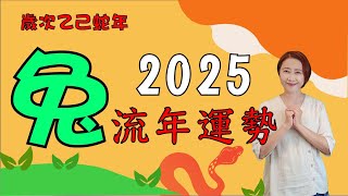 #生肖屬兔2025流年運勢 #2025乙巳蛇年 #屬兔2025流年運程和專屬的開運化解方法 #2025流年九宮飛星 #2025住家風水佈局 #生肖兔2025運勢 #兔2025 #十二生肖2025運勢