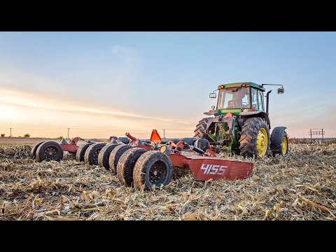 Cutting Stalks By The Moonlight!